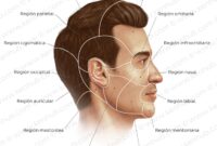 Cara Pilih Serum Rambut Untuk Rambut Kasar & Tebal