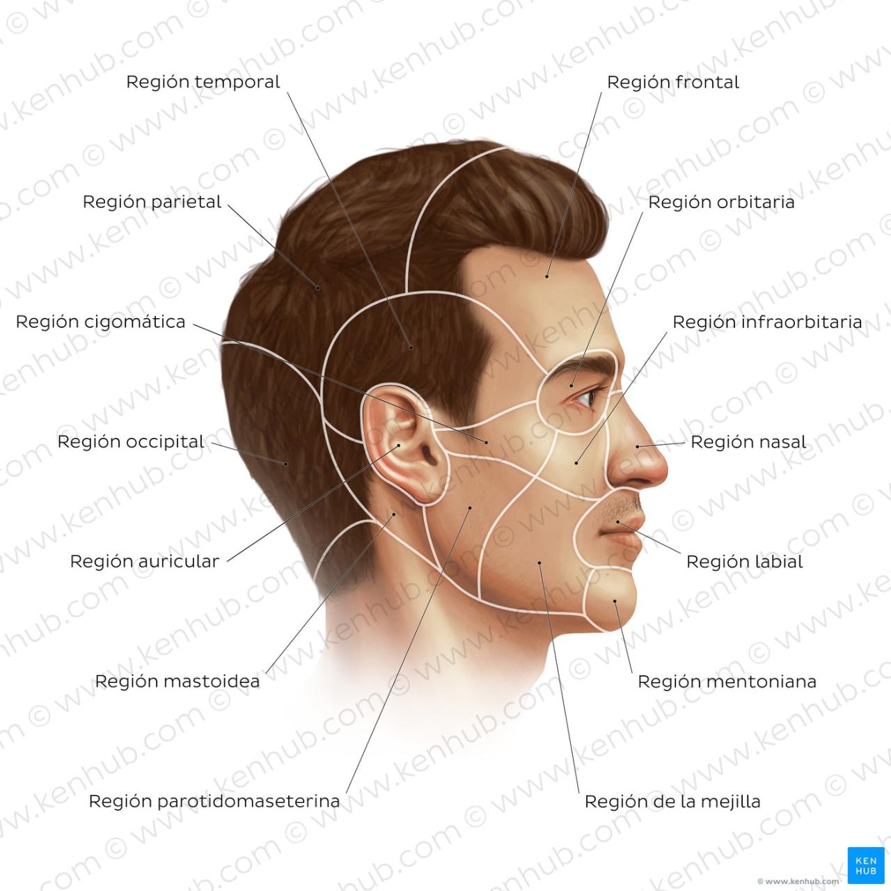 Cara Pilih Serum Rambut Untuk Rambut Kasar & Tebal